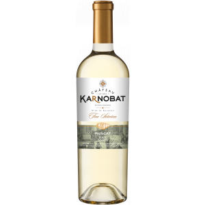 Flasche Chateau Karnobat Muscat, bulgarischer Weißwein trocken